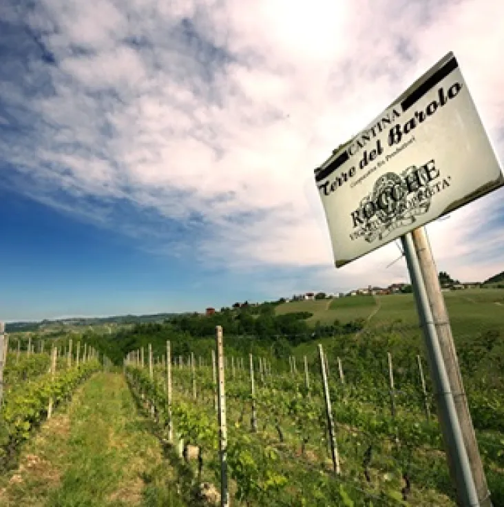 Nelle terre del Barolo