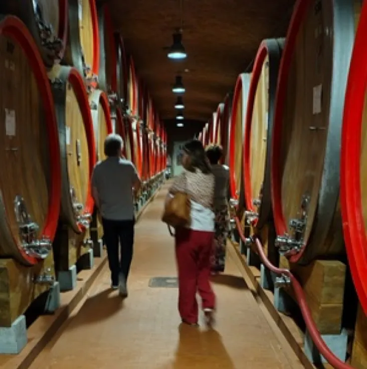 Visita alla cantina Nino Negri e alla città di Sondrio