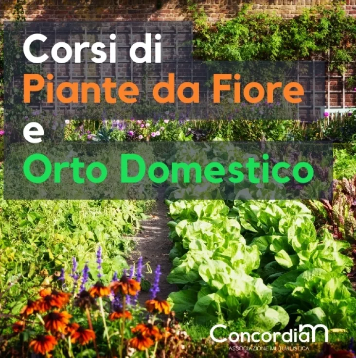 Corsi di Piante da Fiore & Orto Domestico