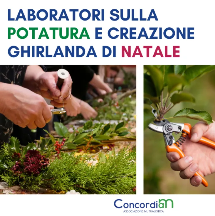 Laboratori sulla potatura degli arbusti e la creazione della ghirlanda di Natale